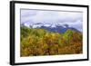 Oaks and Aspens Along Kebler Pass-Darrell Gulin-Framed Photographic Print