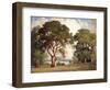 Oaks and Wildflowers-Percy Gray-Framed Art Print