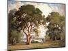Oaks and Wildflowers-Percy Gray-Mounted Art Print