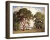 Oaks and Wildflowers-Percy Gray-Framed Art Print