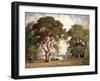 Oaks and Wildflowers-Percy Gray-Framed Art Print