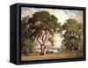 Oaks and Wildflowers-Percy Gray-Framed Stretched Canvas