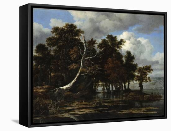 Oaks at a Lake with Water Lilies-Jacob Isaacksz Van Ruisdael-Framed Stretched Canvas