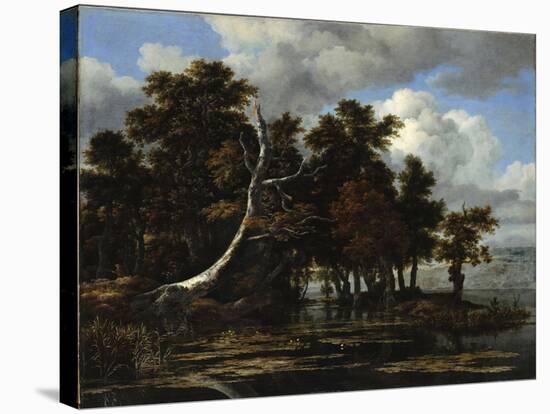 Oaks at a Lake with Water Lilies-Jacob Isaacksz Van Ruisdael-Stretched Canvas