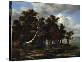 Oaks at a Lake with Water Lilies-Jacob Isaacksz Van Ruisdael-Stretched Canvas