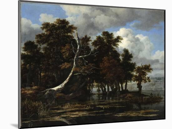 Oaks at a Lake with Water Lilies-Jacob Isaacksz Van Ruisdael-Mounted Giclee Print