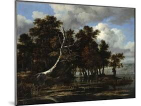 Oaks at a Lake with Water Lilies-Jacob Isaacksz Van Ruisdael-Mounted Giclee Print