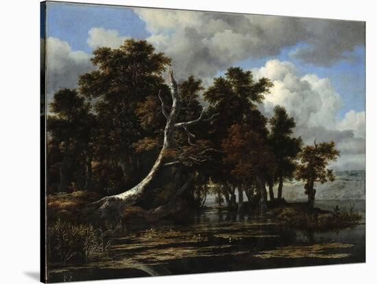 Oaks at a Lake with Water Lilies-Jacob Isaacksz Van Ruisdael-Stretched Canvas