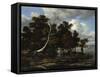 Oaks at a Lake with Water Lilies-Jacob Isaacksz Van Ruisdael-Framed Stretched Canvas