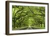 Oaks Avenue 1-Moises Levy-Framed Photographic Print