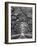 Oaks Avenue 2 BW-Moises Levy-Framed Photographic Print