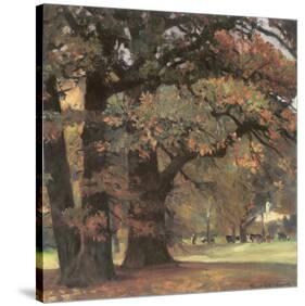 Oaks in the Park of Wechselburg-Eugen Bracht-Stretched Canvas