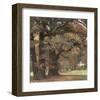 Oaks in the Park of Wechselburg-Eugen Bracht-Framed Art Print