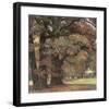 Oaks in the Park of Wechselburg-Eugen Bracht-Framed Art Print