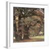 Oaks in the Park of Wechselburg-Eugen Bracht-Framed Art Print