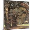 Oaks in the Park of Wechselburg-Eugen Bracht-Mounted Art Print