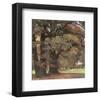 Oaks in the Park of Wechselburg-Eugen Bracht-Framed Art Print