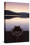 Oar boot on the Schluchsee at sundown, Black Forest, Baden-Wurttemberg, Germany-Markus Lange-Stretched Canvas