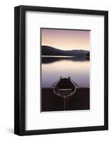 Oar boot on the Schluchsee at sundown, Black Forest, Baden-Wurttemberg, Germany-Markus Lange-Framed Photographic Print