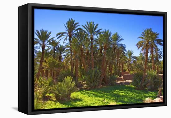 Oasis at Tamnougalt, Morocco, North Africa, Africa-Neil-Framed Stretched Canvas