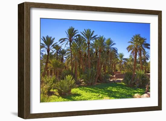 Oasis at Tamnougalt, Morocco, North Africa, Africa-Neil-Framed Photographic Print