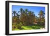 Oasis at Tamnougalt, Morocco, North Africa, Africa-Neil-Framed Photographic Print