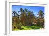 Oasis at Tamnougalt, Morocco, North Africa, Africa-Neil-Framed Photographic Print