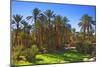 Oasis at Tamnougalt, Morocco, North Africa, Africa-Neil-Mounted Photographic Print