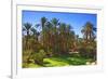 Oasis at Tamnougalt, Morocco, North Africa, Africa-Neil-Framed Photographic Print