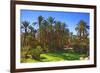 Oasis at Tamnougalt, Morocco, North Africa, Africa-Neil-Framed Photographic Print