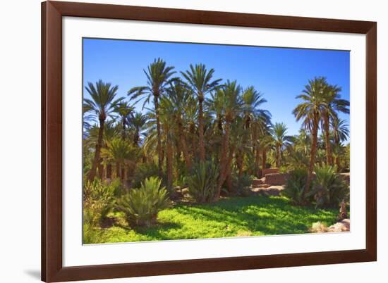 Oasis at Tamnougalt, Morocco, North Africa, Africa-Neil-Framed Photographic Print