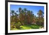 Oasis at Tamnougalt, Morocco, North Africa, Africa-Neil-Framed Photographic Print