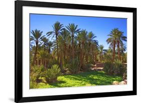 Oasis at Tamnougalt, Morocco, North Africa, Africa-Neil-Framed Photographic Print