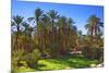 Oasis at Tamnougalt, Morocco, North Africa, Africa-Neil-Mounted Photographic Print