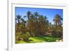 Oasis at Tamnougalt, Morocco, North Africa, Africa-Neil-Framed Photographic Print