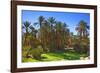 Oasis at Tamnougalt, Morocco, North Africa, Africa-Neil-Framed Photographic Print