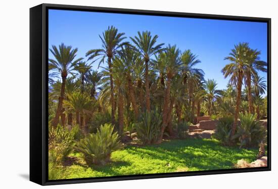 Oasis at Tamnougalt, Morocco, North Africa, Africa-Neil-Framed Stretched Canvas