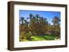 Oasis at Tamnougalt, Morocco, North Africa, Africa-Neil-Framed Photographic Print