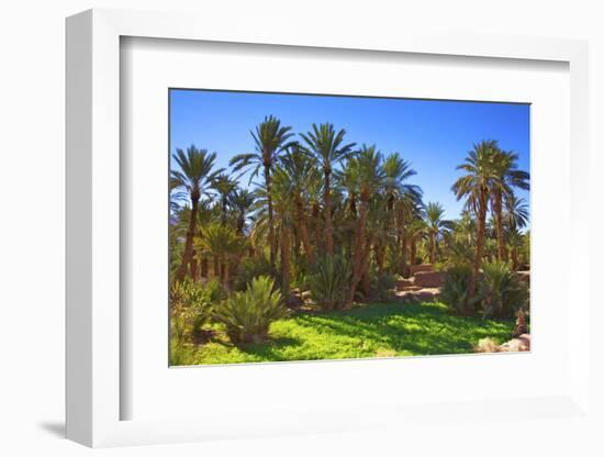 Oasis at Tamnougalt, Morocco, North Africa, Africa-Neil-Framed Photographic Print