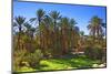 Oasis at Tamnougalt, Morocco, North Africa, Africa-Neil-Mounted Photographic Print