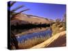 Oasis at Um Al Ma salt lake, Sahara desert, Ubari, Libya-Frans Lemmens-Stretched Canvas