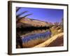 Oasis at Um Al Ma salt lake, Sahara desert, Ubari, Libya-Frans Lemmens-Framed Photographic Print