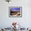 Oasis at Um Al Ma salt lake, Sahara desert, Ubari, Libya-Frans Lemmens-Framed Photographic Print displayed on a wall