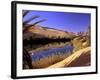 Oasis at Um Al Ma salt lake, Sahara desert, Ubari, Libya-Frans Lemmens-Framed Photographic Print