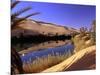 Oasis at Um Al Ma salt lake, Sahara desert, Ubari, Libya-Frans Lemmens-Mounted Photographic Print