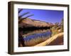 Oasis at Um Al Ma salt lake, Sahara desert, Ubari, Libya-Frans Lemmens-Framed Photographic Print