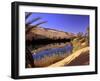 Oasis at Um Al Ma salt lake, Sahara desert, Ubari, Libya-Frans Lemmens-Framed Photographic Print