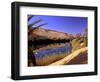 Oasis at Um Al Ma salt lake, Sahara desert, Ubari, Libya-Frans Lemmens-Framed Photographic Print