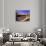 Oasis at Um Al Ma salt lake, Sahara desert, Ubari, Libya-Frans Lemmens-Photographic Print displayed on a wall