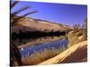 Oasis at Um Al Ma salt lake, Sahara desert, Ubari, Libya-Frans Lemmens-Stretched Canvas